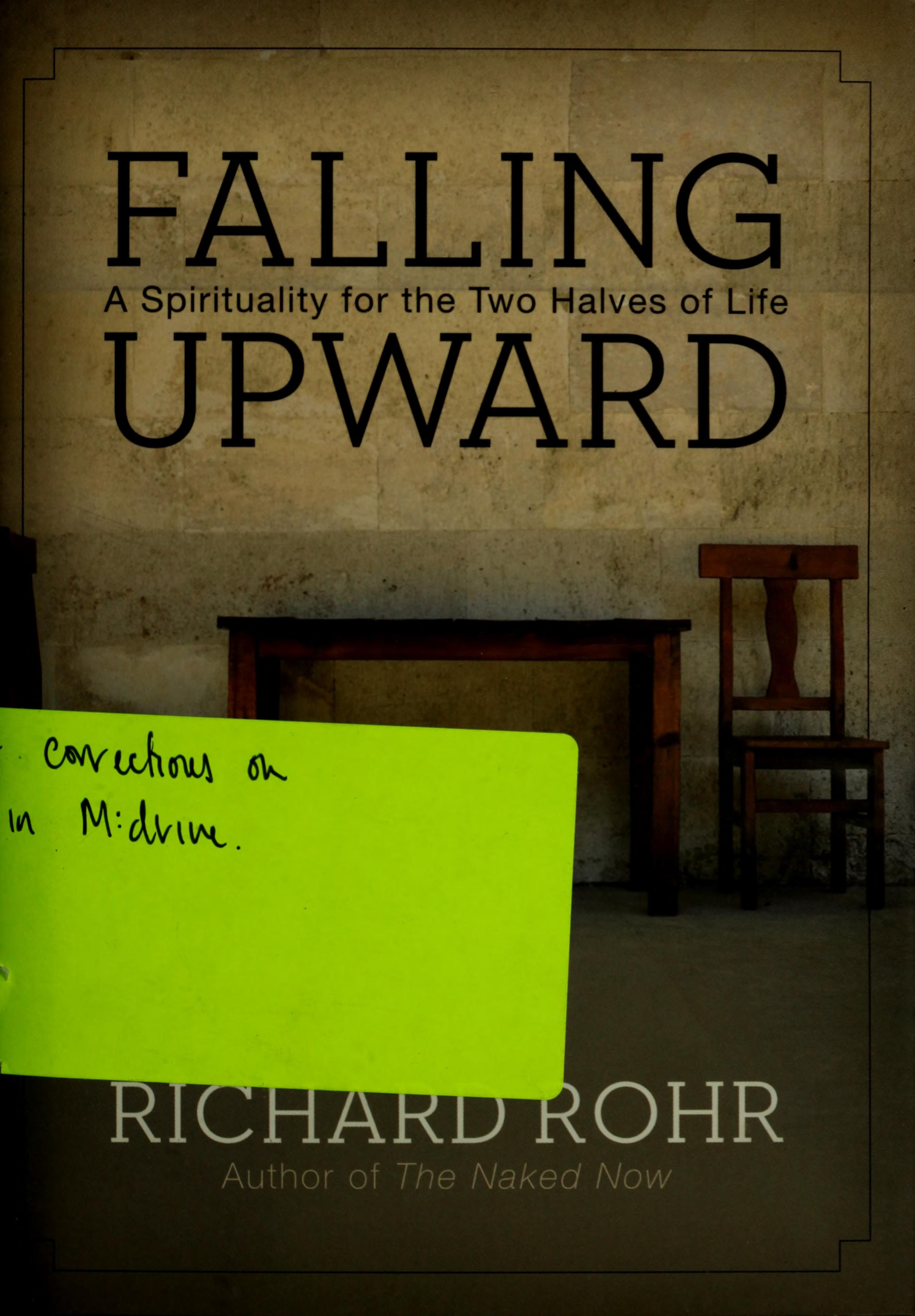 Falling Upward book cover