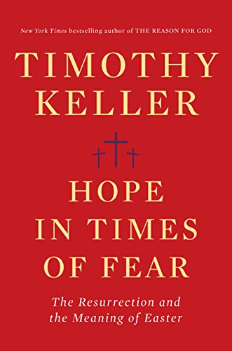 Hope in Times of Fear book cover